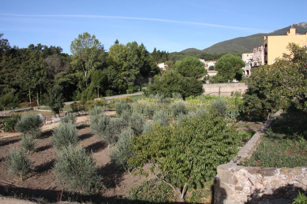 Maçanet de Cabrenys Apartamentos Cal Ratero מראה חיצוני תמונה